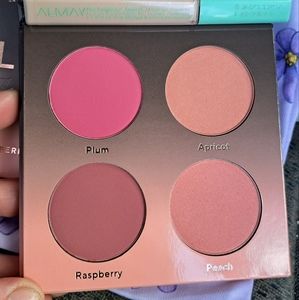 SHADES OF SHAN The Blush Palette